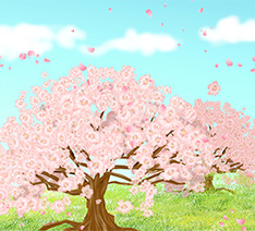 桜